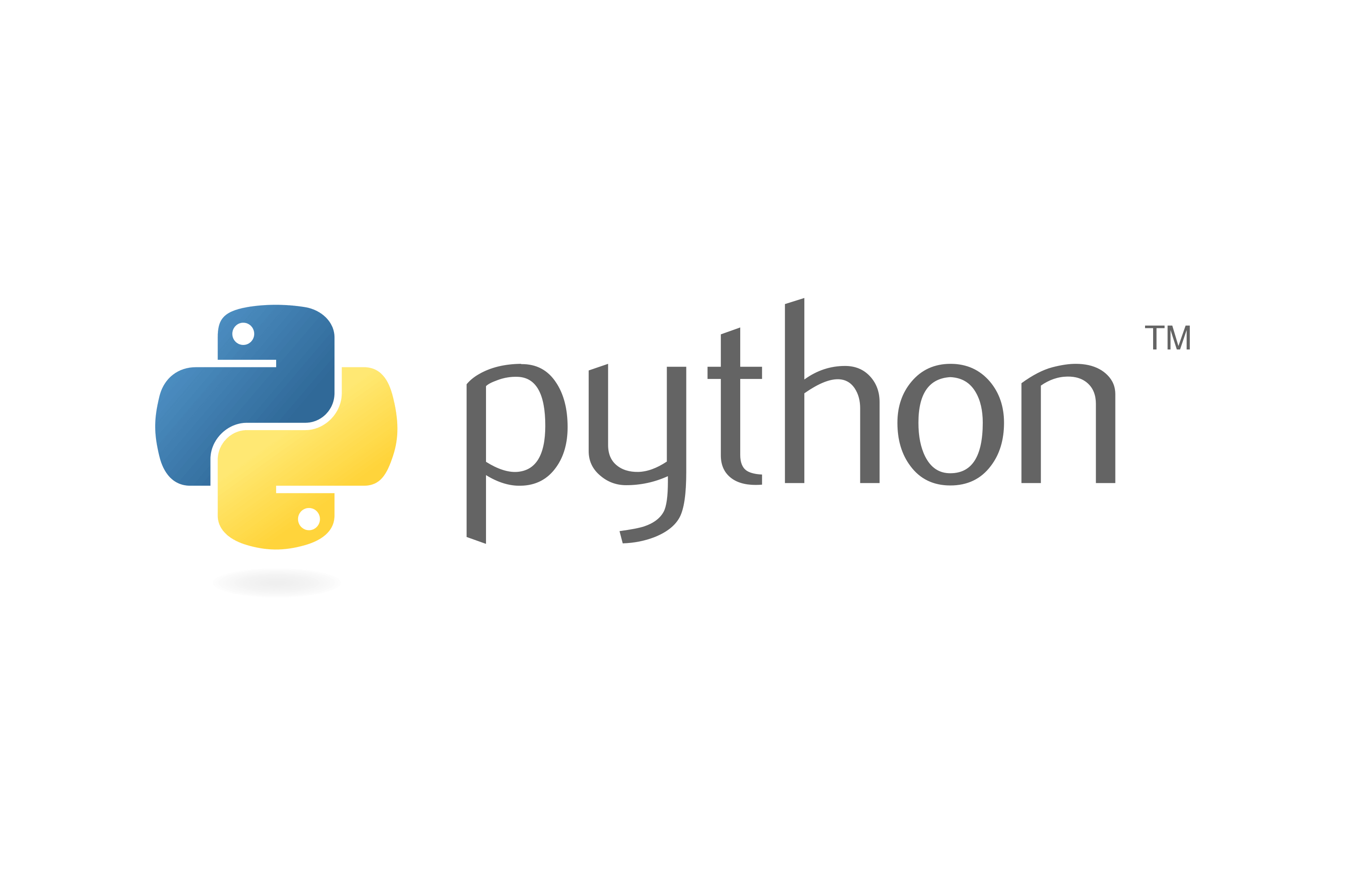 Python Logo - Partner 13